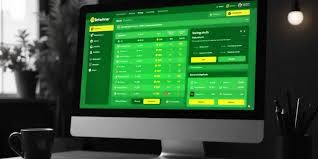 Comprehensive BetWinner Betting Guide for Enthusiasts