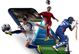 Découvrez Betwinner  la plateforme idéale pour vos paris sportifs