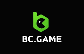 Experience Gaming Anywhere The BC.Game Mobile App