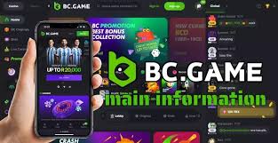 Exploring the World of Crypto Betting at BC.Game
