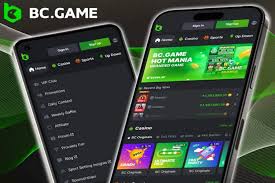 The Complete Guide to BC.Game Login Process