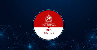 Understanding the Role of Interpol Defense Lawyers 1329445379