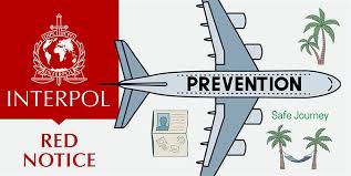 Understanding the Role of Interpol Defense Lawyers 1337996441