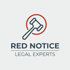 Understanding the Role of Interpol Defense Lawyers 1337996441