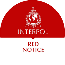Understanding the Role of Interpol Defense Lawyers 1337996441