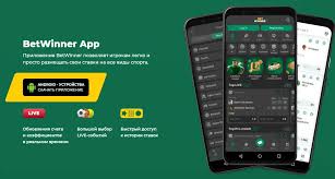 BetWinner Casino and Sportsbook Your Ultimate Gaming Destination